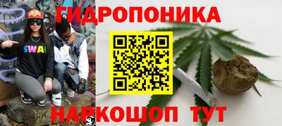 дурь Гуково